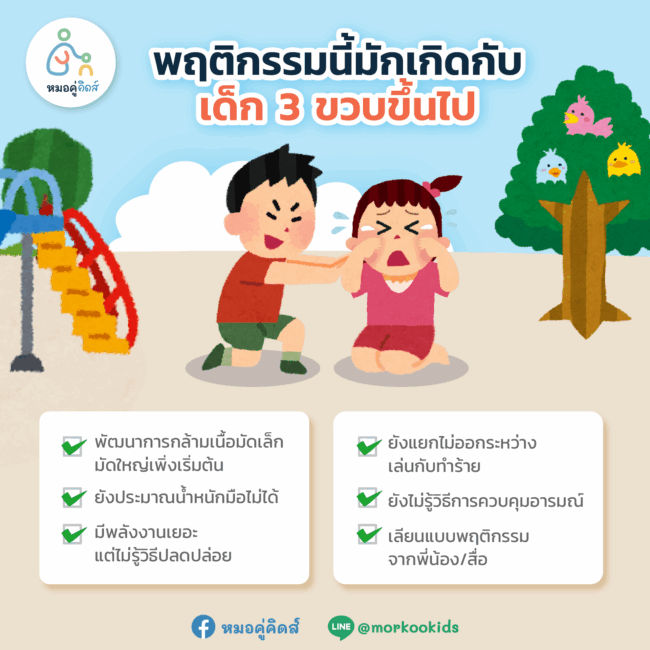 เพราะอะไร ลูกชอบเล่นแรง